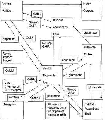 Drive and Instinct—How They Produce Relatedness and Addiction